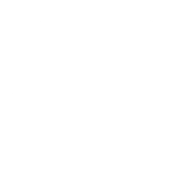 engleza online rapid